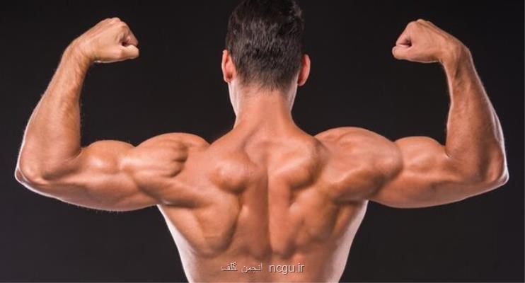 دیوان عدالت رای به ابطال انتخابات هیات بدنسازی اصفهان داد بعلاوه سند