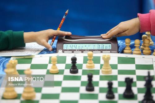 دلیل برکناری شادی پریدر از نایب رئیسی فدراسیون شطرنج