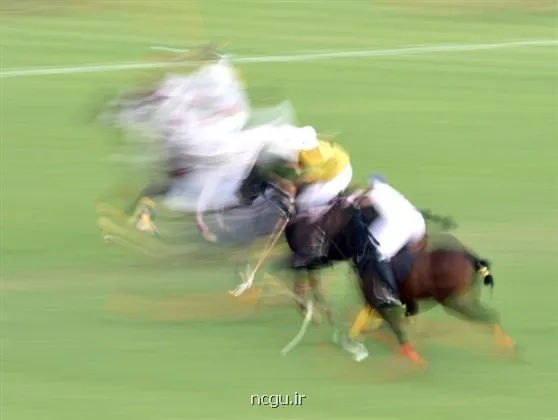 عکس ستاره های ورزش هنرپیشه می شوند!